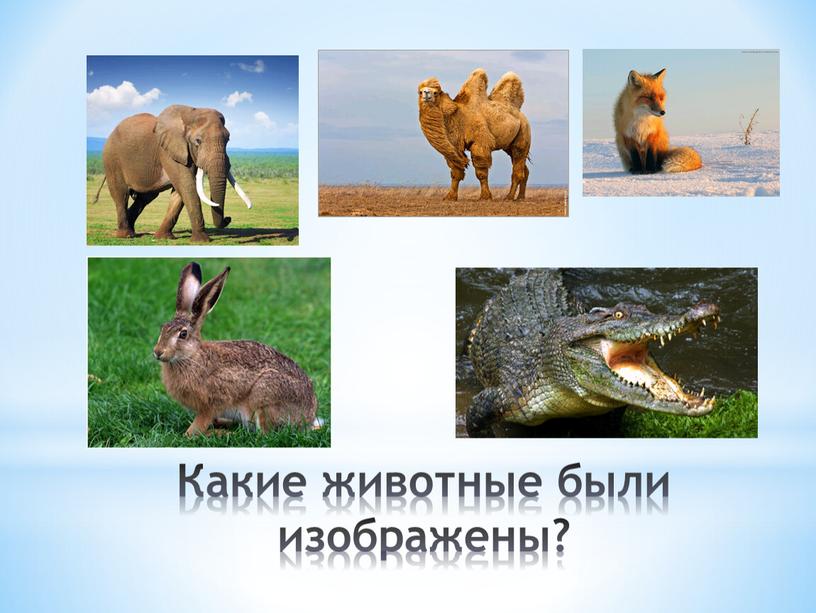 Какие животные были изображены?