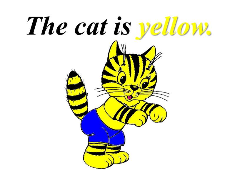 The cat is yellow.