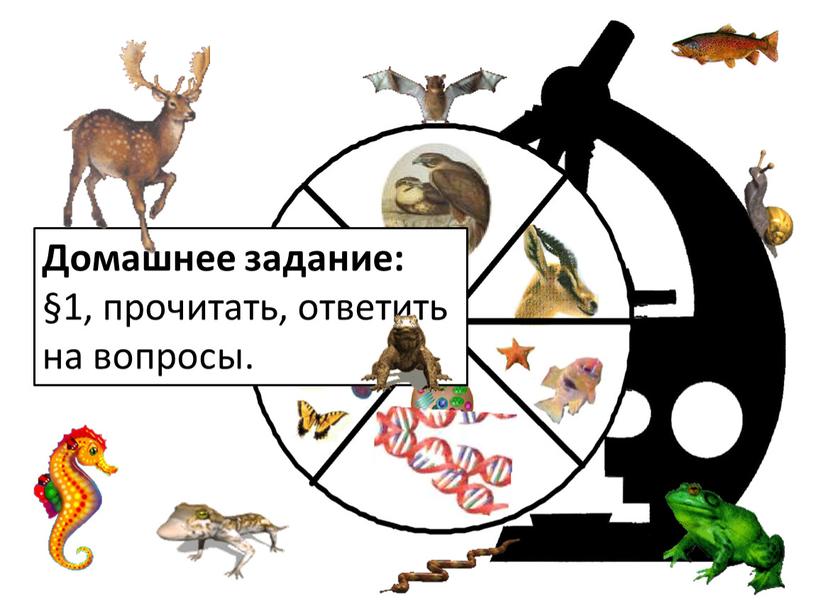 Домашнее задание: §1, прочитать, ответить на вопросы