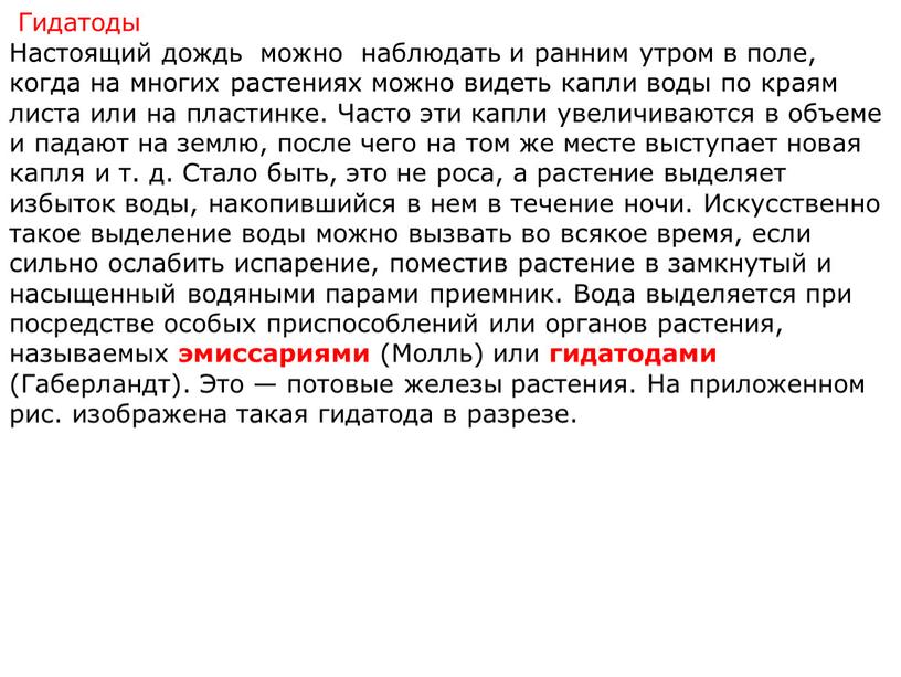 Гидатоды Настоящий дождь можно наблюдать и ранним утром в поле, когда на многих растениях можно видеть капли воды по краям листа или на пластинке