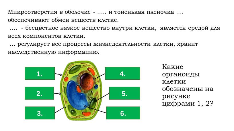 Микроотверстия в оболочке - ….