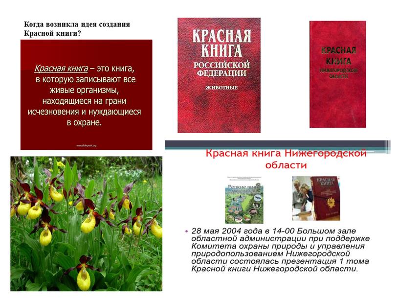 Когда возникла идея создания Красной книги?