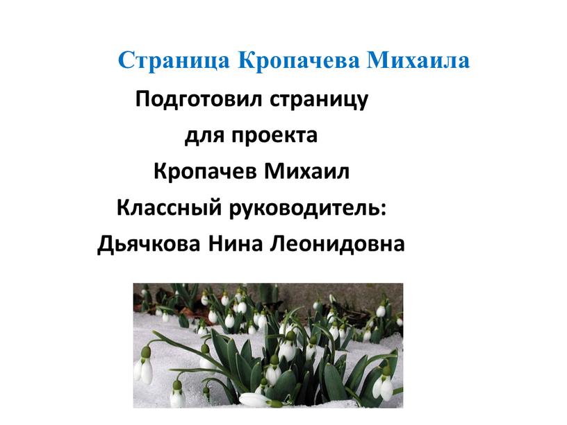 Страница Кропачева Михаила Подготовил страницу для проекта