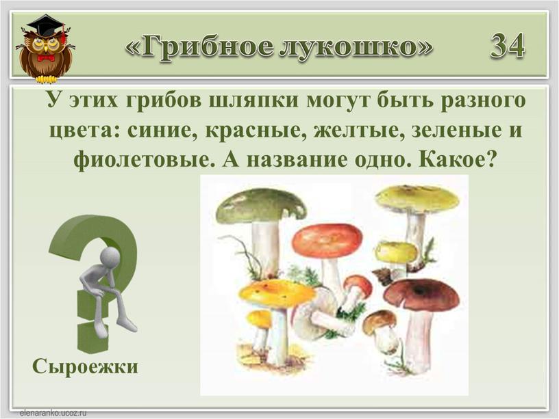 Грибное лукошко» 34 Сыроежки У этих грибов шляпки могут быть разного цвета: синие, красные, желтые, зеленые и фиолетовые