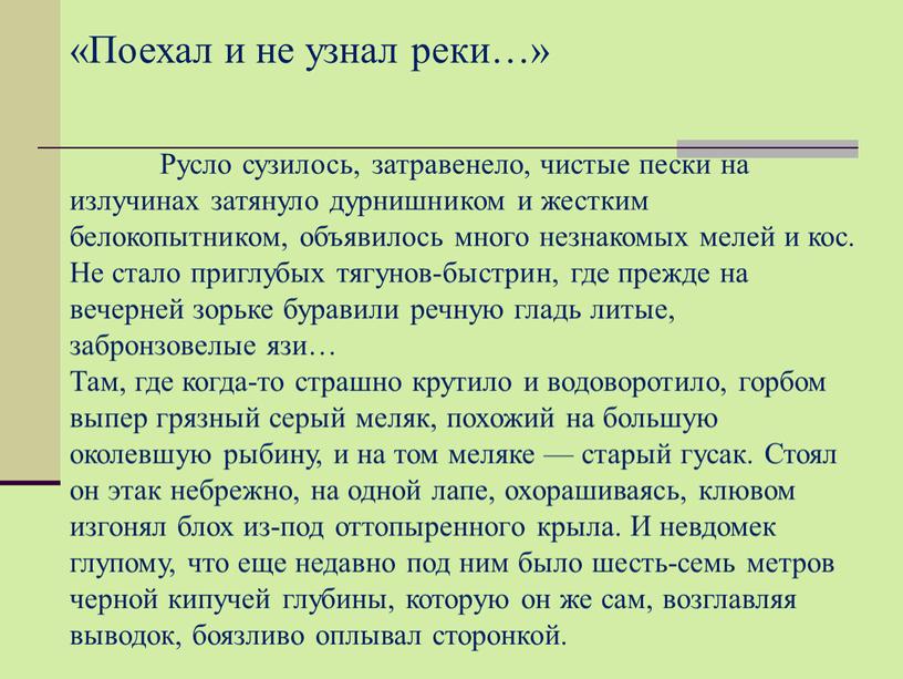 Поехал и не узнал реки…» Русло сузилось, затравенело, чистые пески на излучинах затянуло дурнишником и жестким белокопытником, объявилось много незнакомых мелей и кос