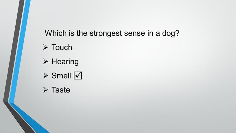 Which is the strongest sense in a dog?