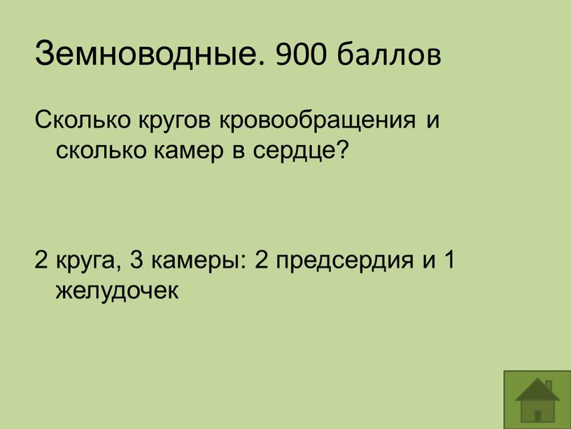 Земноводные. 900 баллов Сколько кругов кровообращения и сколько камер в сердце? 2 круга, 3 камеры: 2 предсердия и 1 желудочек