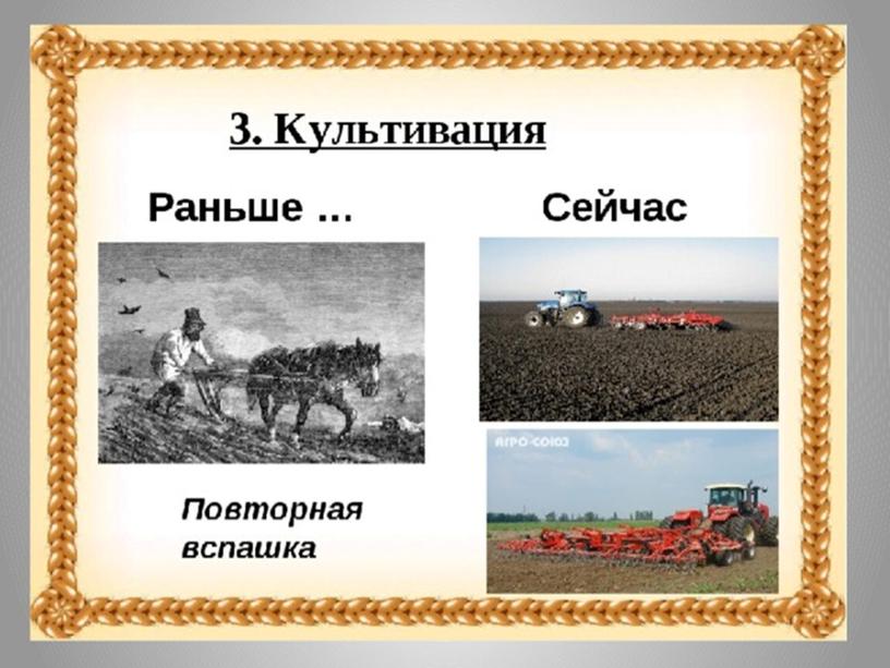 Презентация по финансовой грамотности "Хлеб - драгоценность!", "Как к нам стакан молока пришел?"