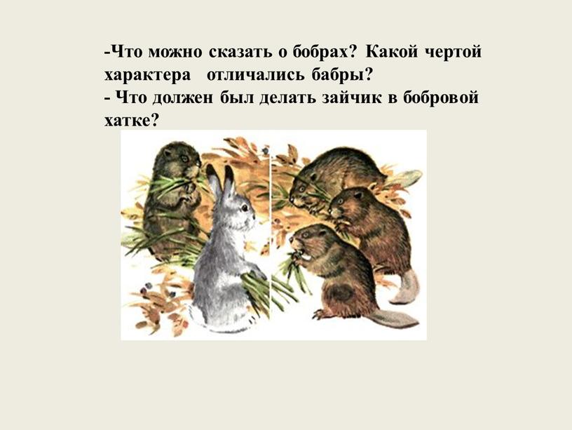 Что можно сказать о бобрах? Какой чертой характера отличались бабры? -