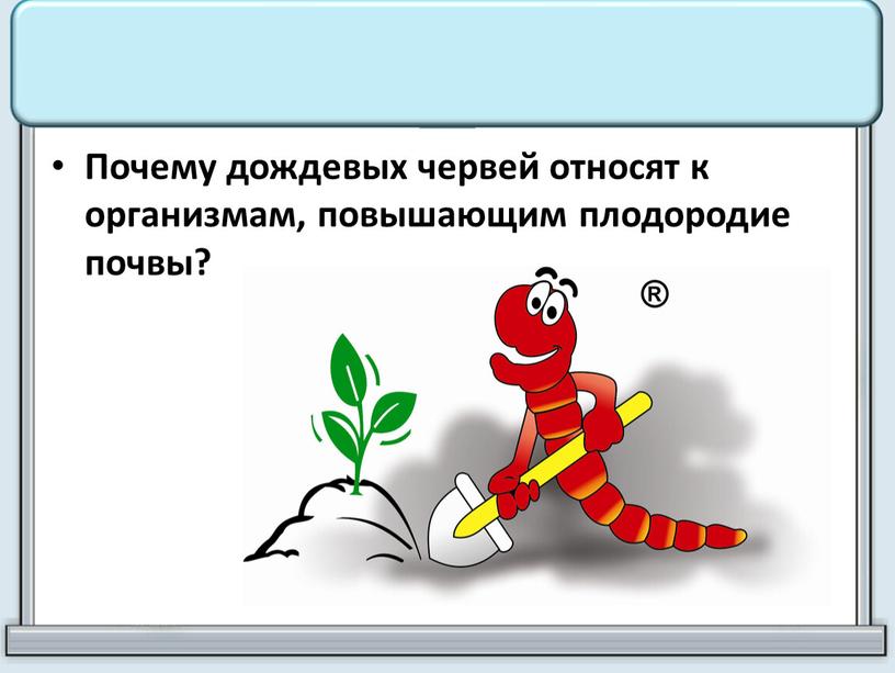 Почему дождевых червей относят к организмам, повышающим плодородие почвы?