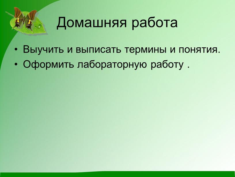 Домашняя работа Выучить и выписать термины и понятия