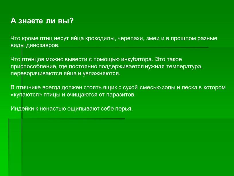 А знаете ли вы? Что кроме птиц несут яйца крокодилы, черепахи, змеи и в прошлом разные виды динозавров