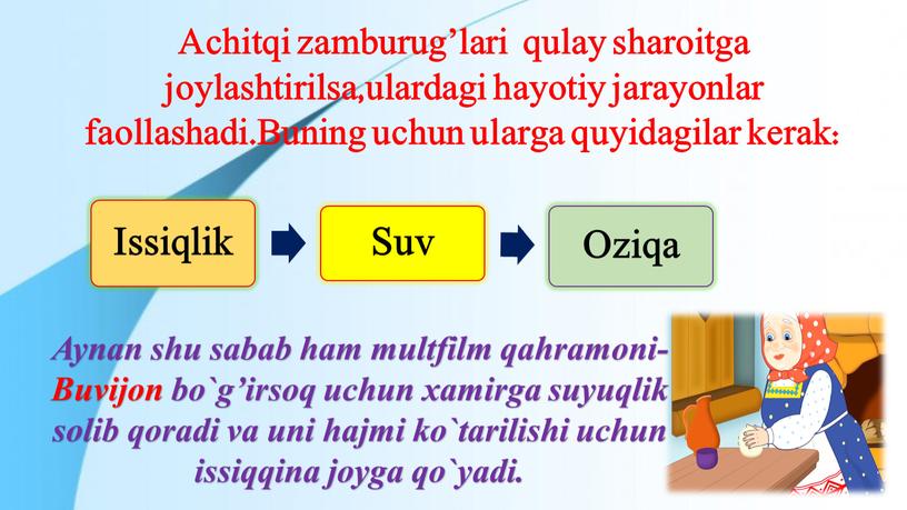 Achitqi zamburug’lari qulay sharoitga joylashtirilsa,ulardagi hayotiy jarayonlar faollashadi