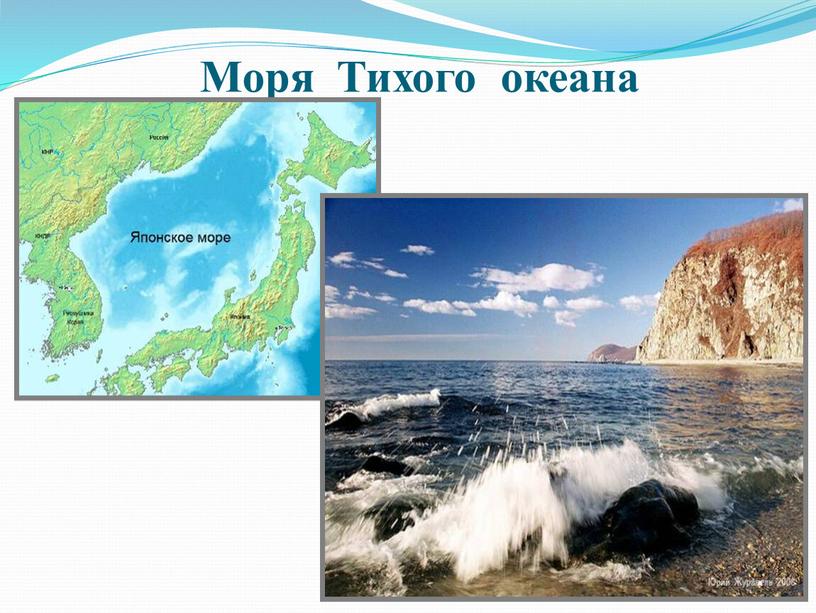 Моря Тихого океана