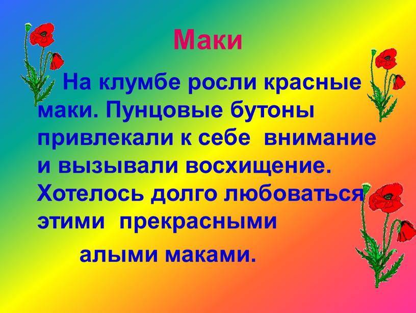 Маки На клумбе росли красные маки