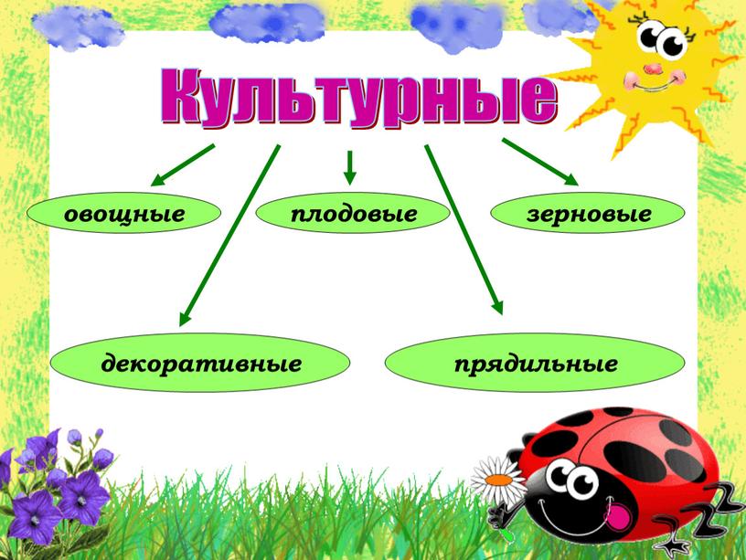 Культурные овощные плодовые декоративные зерновые прядильные