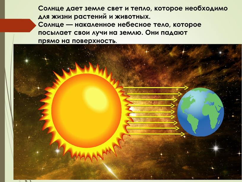 Солнце дает земле свет и тепло, которое необходимо для жизни растений и животных