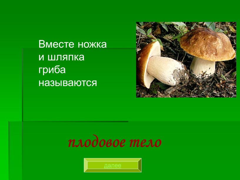 Вместе ножка и шляпка гриба называются плодовое тело далее