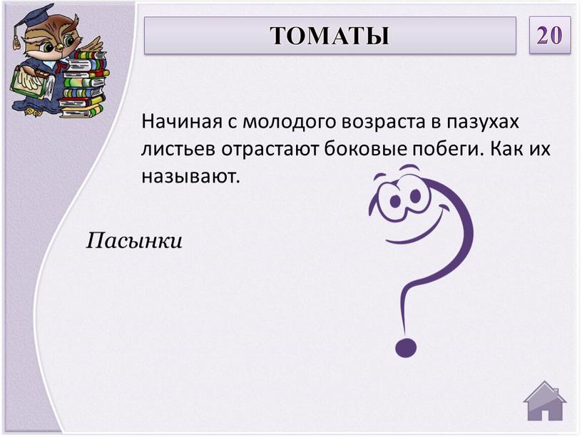 Пасынки Начиная с молодого возраста в пазухах листьев отрастают боковые побеги