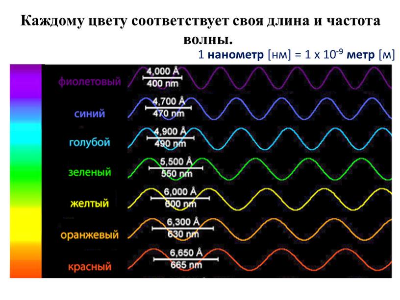 Каждому цвету соответствует своя длина и частота волны