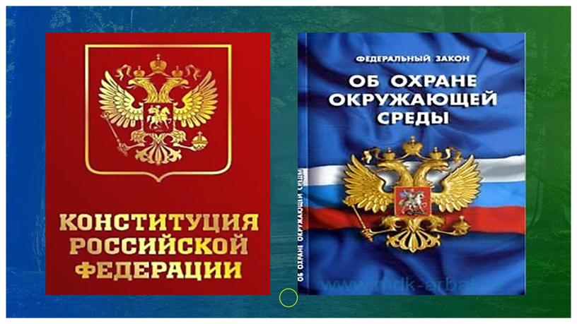 "Охранять природу -значит охранять жизнь" Презентация по обществознанию 7 класс