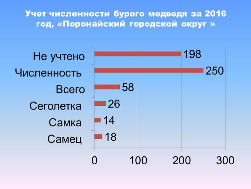 Учет численности бурого медведя за 2016 год, «Поронайский городской округ »