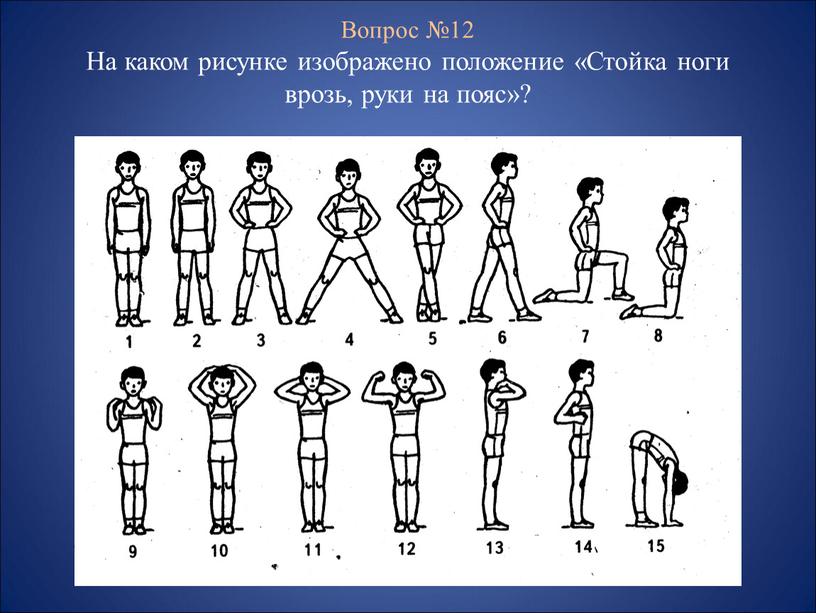 в какую сторону осуществляется поворот головы при команде равняйсь