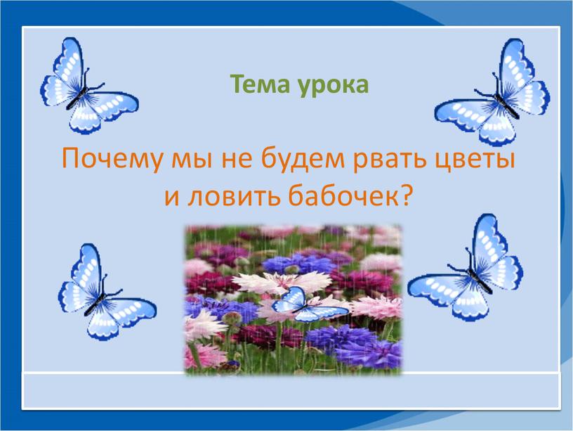 Тема урока Почему мы не будем рвать цветы и ловить бабочек?