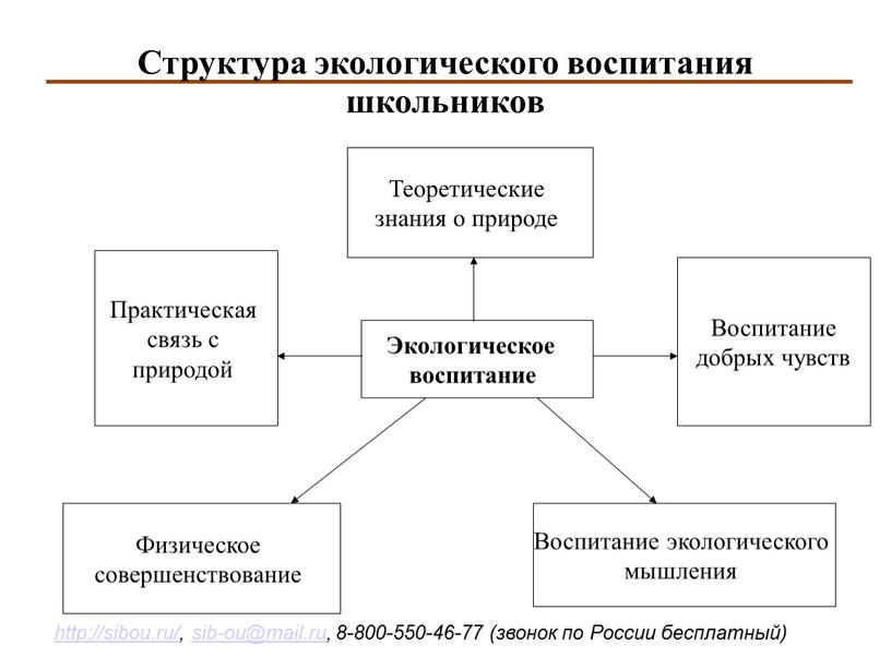 Структура экологического воспитания школьников