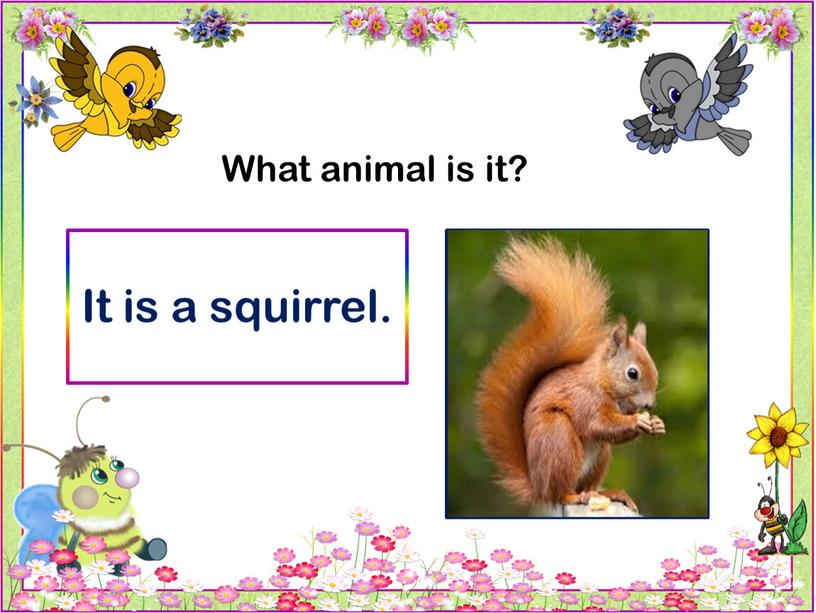 What animal is it? It is a squirrel