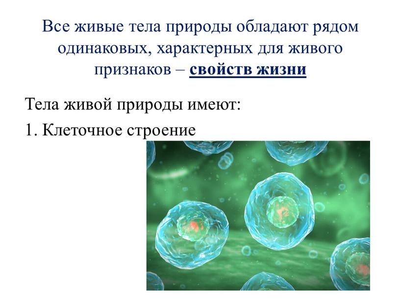 Все живые тела природы обладают рядом одинаковых, характерных для живого признаков – свойств жизни