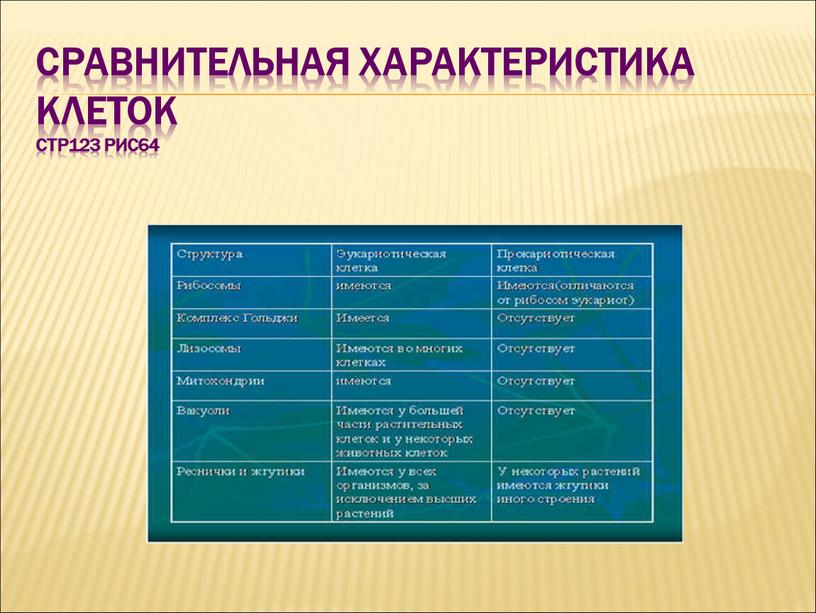 Сравнительная характеристика клеток стр123 рис64