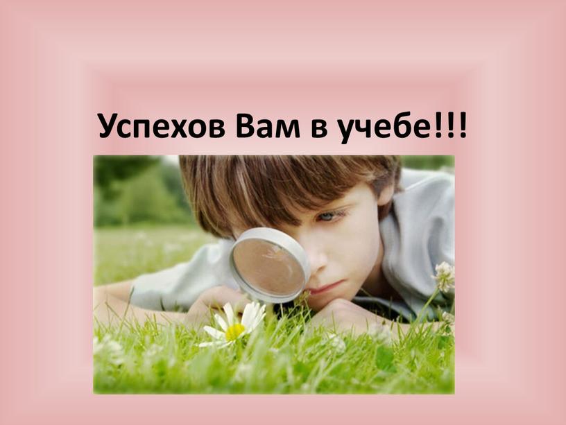 Успехов Вам в учебе!!!