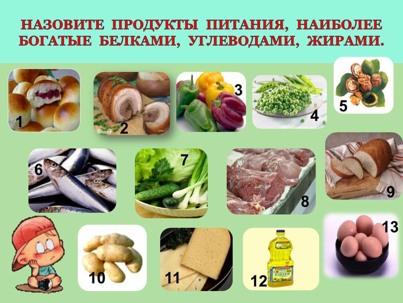 Назовите продукты питания, наиболее богатые белками, углеводами, жирами