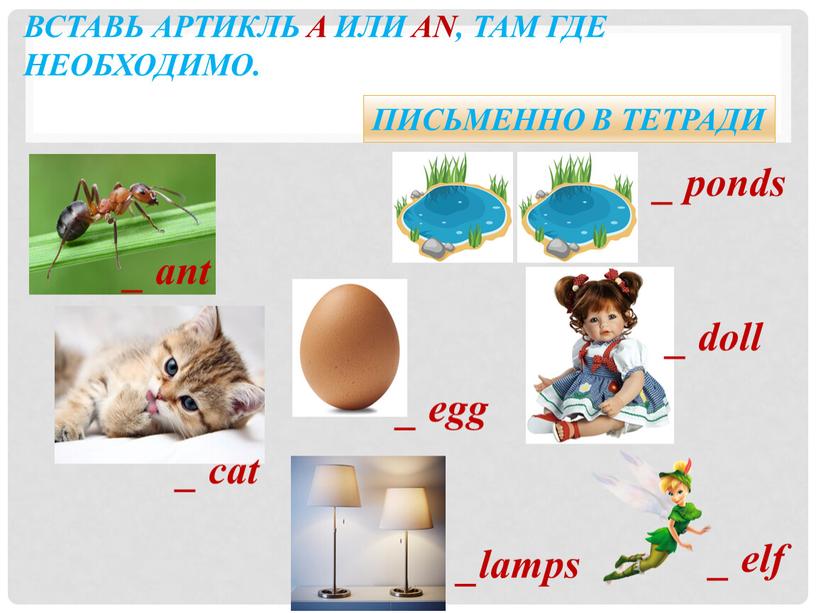 Вставь артикль a или an там где нужно jeans apple two ant hand cat