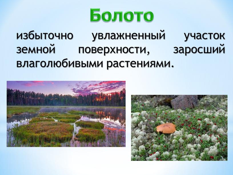 избыточно увлажненный участок земной поверхности, заросший влаголюбивыми растениями. Болото