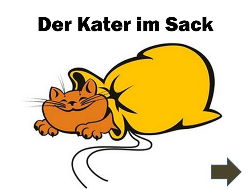 Der Kater im Sack