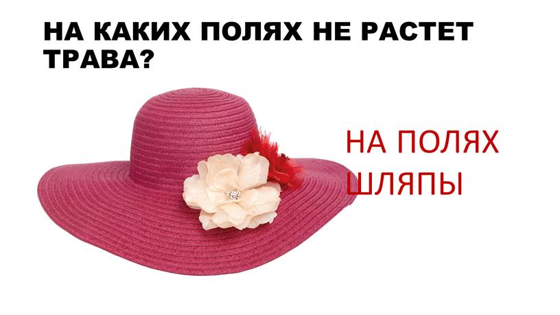 НА КАКИХ ПОЛЯХ НЕ РАСТЕТ ТРАВА?