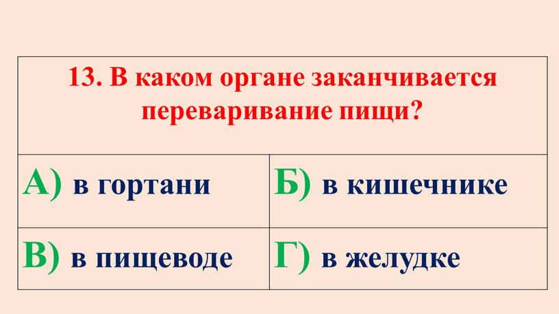 В каком органе заканчивается переваривание пищи?