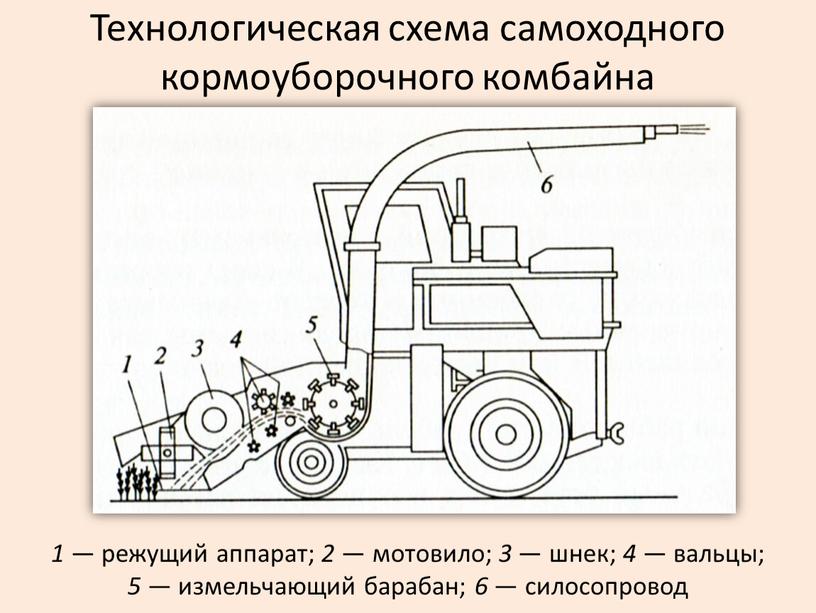 Технологическая схема самоходного кормоуборочного комбайна 1 — режущий аппарат; 2 — мотовило; 3 — шнек; 4 — вальцы; 5 — измельчающий барабан; 6 — силосопровод