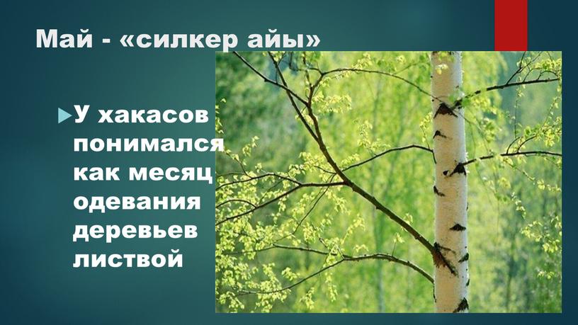 Май - «силкер айы» У хакасов понимался как месяц одевания деревьев листвой