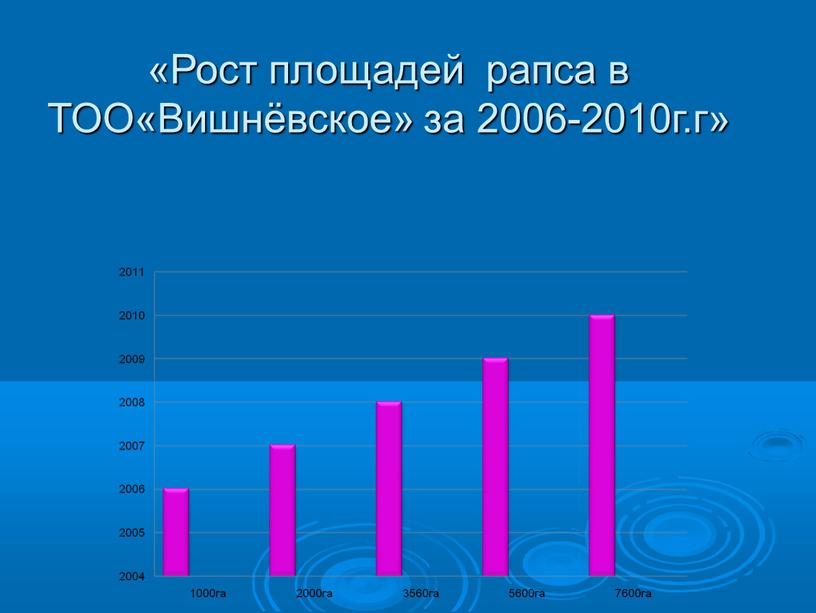 Рост площадей рапса в ТОО«Вишнёвское» за 2006-2010г