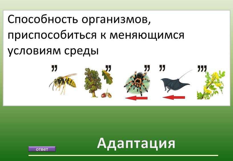 Адаптация Способность организмов, приспособиться к меняющимся условиям среды