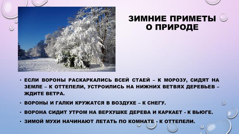 Зимние приметы о природе Если вороны раскаркались всей стаей – к морозу, сидят на земле – к оттепели, устроились на нижних ветвях деревьев – ждите…