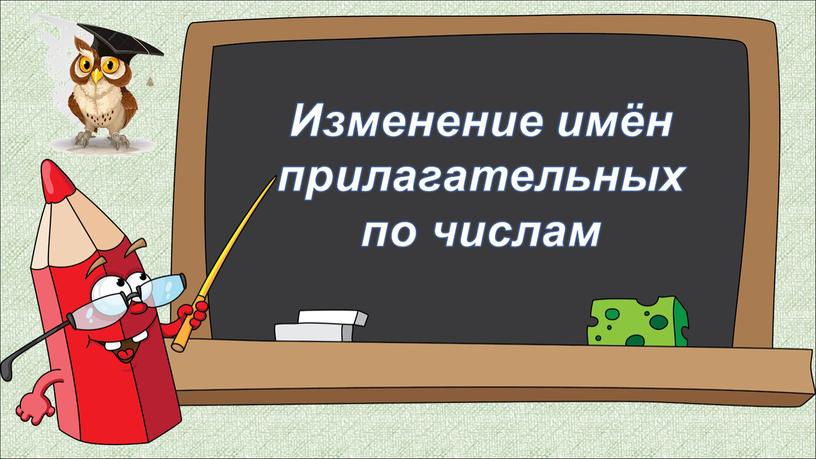 Изменение имён прилагательных по числам