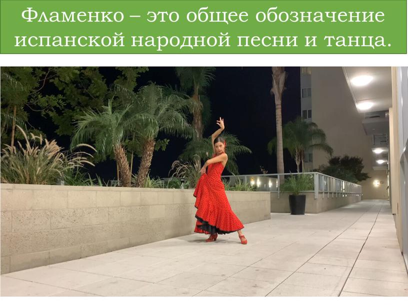 Фламенко – это общее обозначение испанской народной песни и танца