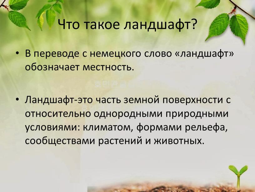 Что такое ландшафт? В переводе с немецкого слово «ландшафт» обозначает местность