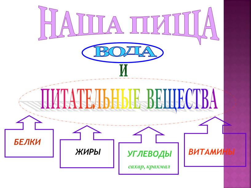 НАША ПИЩА ВОДА ПИТАТЕЛЬНЫЕ ВЕЩЕСТВА