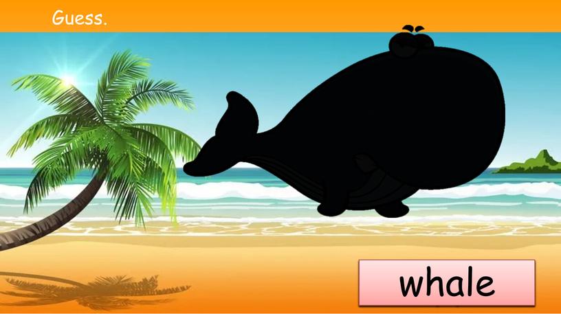 Guess. seal crocodile hippo whale