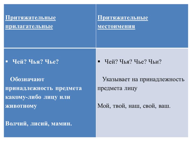 Притяжательные прилагательные